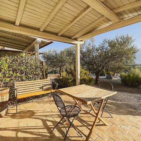 Pietra Pizzuta Country House Torre de' Passeri Екстер'єр фото