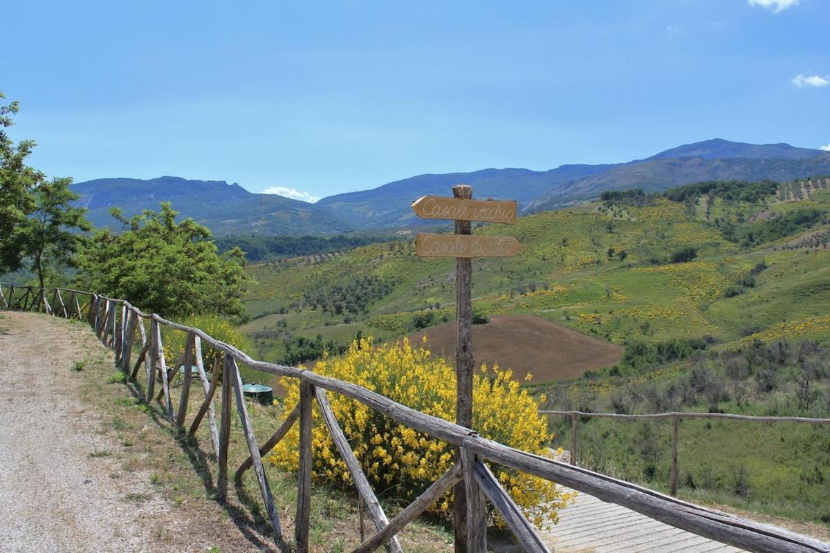 Pietra Pizzuta Country House Torre de' Passeri Екстер'єр фото